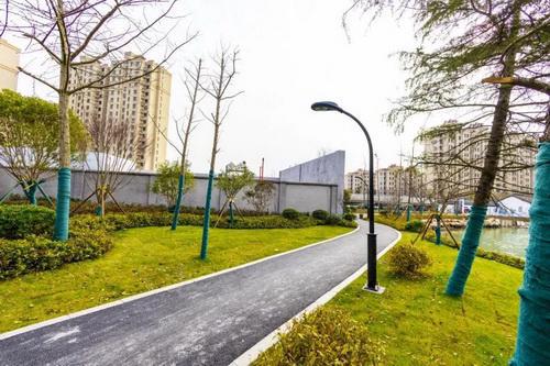 平湖市街头绿化容貌升级 精细管理描绘城市新画卷